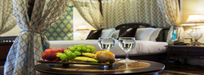 2245/Rajvi Palace - Hanumangarh 20.jpg